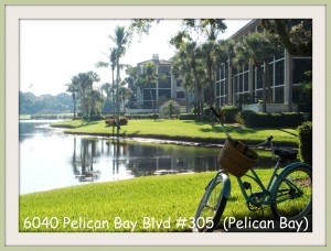Chateaumere of Pelican Bay - Views of lake, golf course and pool - bright and inviting home.